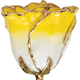 24K Solid Gold Rose- Cream Yellow